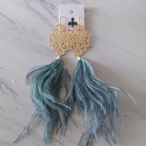 Beautiful blue feathers